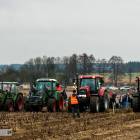 zdjęcie nr 114