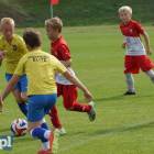 zdjęcie nr 34