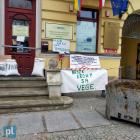 zdjęcie nr 43