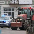zdjęcie nr 11