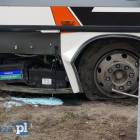 Fotka nr 5 z 8