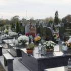zdjęcie nr 24