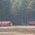 Fotka nr 1 z 12