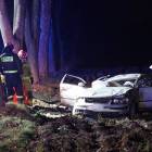 zdjęcie nr 13
