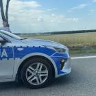 Fotka nr 1 z 3