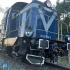 Fotka nr 5 z 9