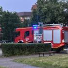 Fotka nr 2 z 9