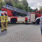 Fotka nr 3 z 11