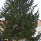 zdjęcie nr 9
