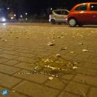 zdjęcie nr 36