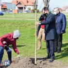 zdjęcie nr 24