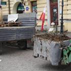 zdjęcie nr 17