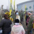 zdjęcie nr 14