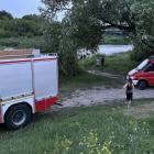 Fotka nr 4 z 6