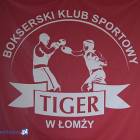 zdjęcie nr 14