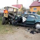 zdjęcie nr 7