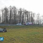 Fotka nr 3 z 12