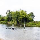 zdjęcie nr 44