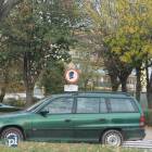 Fotka nr 2 z 3