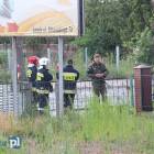 zdjęcie nr 13
