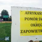 Fotka nr 4 z 8