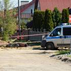 Fotka nr 3 z 11