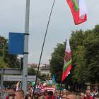 zdjęcie nr 19