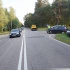 Fotka nr 2 z 3