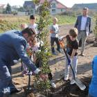 zdjęcie nr 19