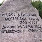 Fotka nr 4 z 16