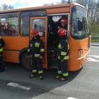 Fotka nr 3 z 12