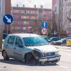 Fotka nr 2 z 11
