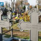 zdjęcie nr 7