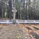 Fotka nr 5 z 15
