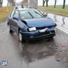 Fotka nr 3 z 6