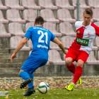 zdjęcie nr 13