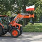zdjęcie nr 11