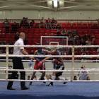 zdjęcie nr 16