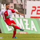 zdjęcie nr 19