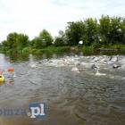 zdjęcie nr 22