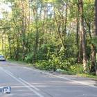 zdjęcie nr 13