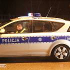 Fotka nr 5 z 6