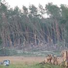 zdjęcie nr 38