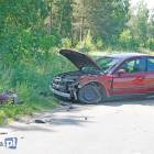 Fotka nr 2 z 8