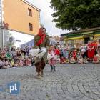 zdjęcie nr 14