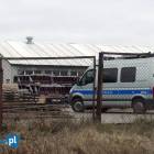 zdjęcie nr 15