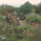 zdjęcie nr 43