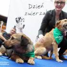 zdjęcie nr 32