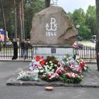 zdjęcie nr 17