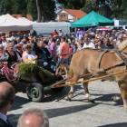 zdjęcie nr 49